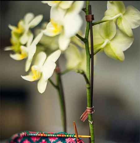 دانلود آهنگ دختر دریا داوود یونسی